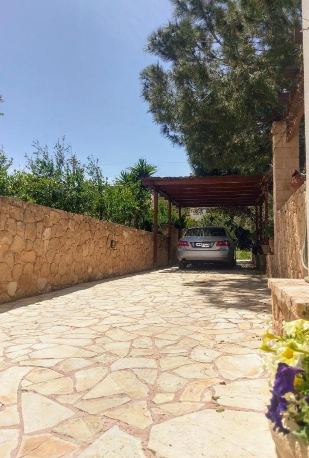 Mediterranean Garden Villa Vathí Exterior photo