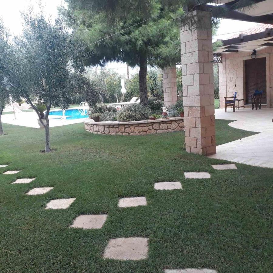 Mediterranean Garden Villa Vathí Exterior photo