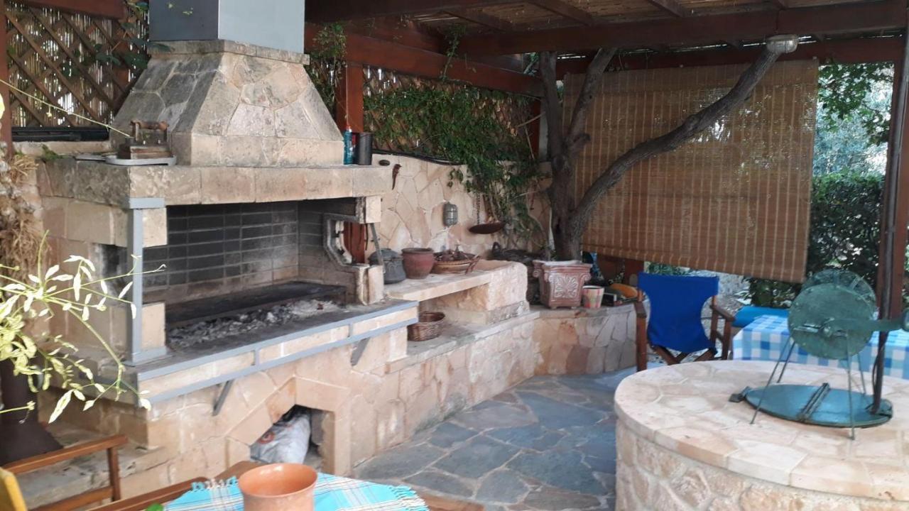 Mediterranean Garden Villa Vathí Exterior photo